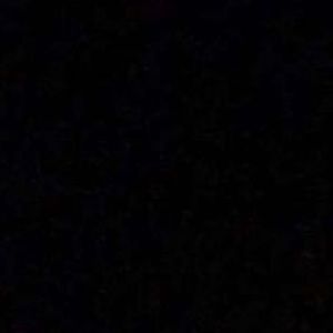 Meet your Posher, Toni